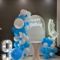 بادکنک ارایی تم تولد دکور تولد دیزاین تولداز 1.300|خدمات پذیرایی، مراسم|کرج, کوی کارمندان جنوبی|دیوار