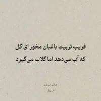 نیازمند بیست ملیون وام