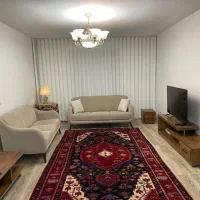 فرش دستبافت ملایر ۷متری