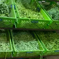 نیروی کار سبزی خردکنی