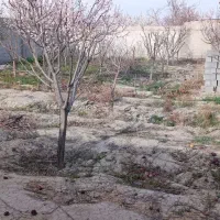 زمین-1000متری-شاهنامه-18