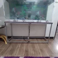 اکفاریوم با وسایل