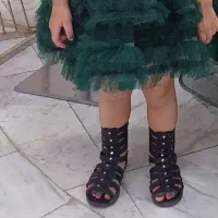 شیک ومجلسی
