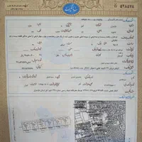 سند تک برگ شش دانگ