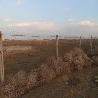 فروش-زمین-ویژه-1000-متری