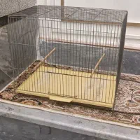 وسایل خونه واجاق گاز صفحه|حراج|قم, محمد آباد|دیوار