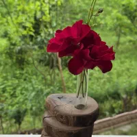 گلدان های فانتزی چوبی