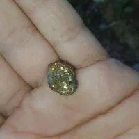 سنگ قیمتی|کلکسیون اشیاء عتیقه|شیراز, لاله|دیوار