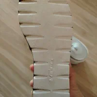 صندل (روفرشی و روزمره)|کیف، کفش، کمربند|بیرجند, |دیوار