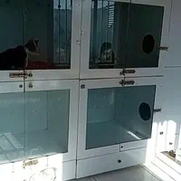 پانسیون حیوانات خانگی(سگ گربه پرنده خرگوش و. )|خدمات پیشه و مهارت|مشهد, الهیه|دیوار