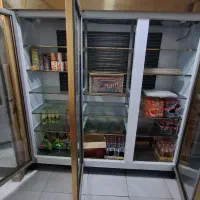 یخجال ایستاده