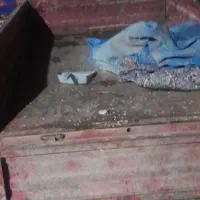 موتورسهچرخ|موتورسیکلت|علی‌آباد کتول, |دیوار