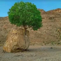 استخدام نیرو فنی(جوشکاری سوراخکاری سنگ زنی)