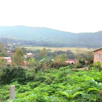 زمین مسکونی باغی ششصد متری توشی ویو ابدی|فروش زمین و ملک کلنگی|سیاهکل, |دیوار