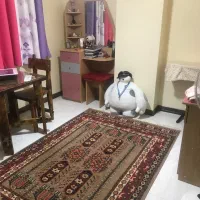45 متری خوش نقشه در بهترین کوچه خیابان مخصوص|فروش آپارتمان|تهران, مخصوص|دیوار