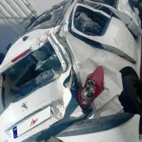 ۲۰۶ پانا ۱۴۰۲|خودرو سواری و وانت|مشهد, مقدم|دیوار