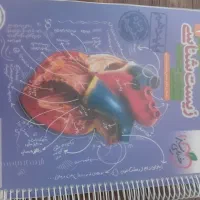 زیست علوم تجربی