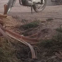 شیرکوه200پابه صفر