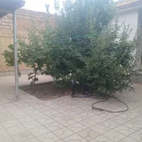 منزل مسکونی ویلایی|فروش خانه و ویلا|مبارکه, |دیوار