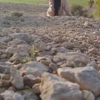 وام قرض الحسنه