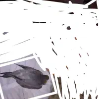 عروس هلندی گم شده محدود اسکان مژدگانی تقدیم می شود