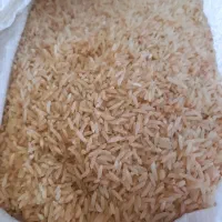 برنج محلی دم سیاه