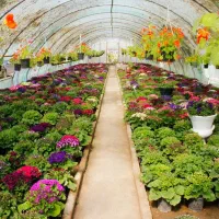 ساخت صفر تا صد گلخانه + تامین تمامی تجهیزات