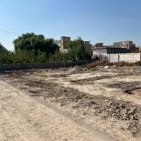 زمین باغی