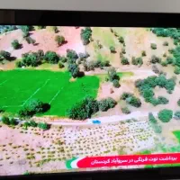 تلویزیون پاناسونیک پلاسما