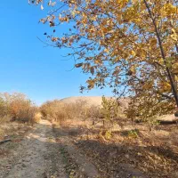 فروش باغ ،معاوضه با خانه یا اپارتمان|فروش دفتر صنعتی، کشاورزی، تجاری|مراغه, |دیوار