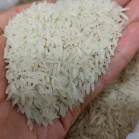 برنج پرمحصول