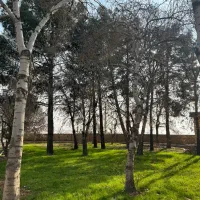 1000متر-زمین-مناسب-سوله-کارگاه-وباغی-برآسفالت