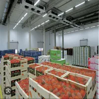 احداث سردخانه