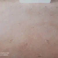موکت