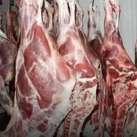 نیازمند شاگرد قصاب.سوپر گوشت مرتضی جعفری شریعتی 18
