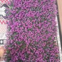 باسلام وسایل مخصوص کراتین