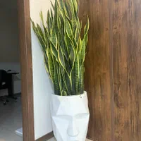 خدمات رسیدگی گل درمحل ۱۵ سال تجربه تعویض خاک گلدان|خدمات باغبانی و درختکاری|تهران, سعادت‌آباد|دیوار