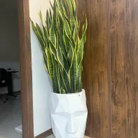 خدمات رسیدگی گل درمحل ۱۵ سال تجربه تعویض خاک گلدان|خدمات باغبانی و درختکاری|تهران, نیاوران|دیوار