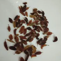 کشمش|خوردنی و آشامیدنی|سبزوار, جوادیه شرقی|دیوار