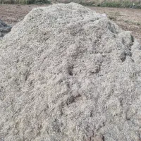 کاه لوبیا