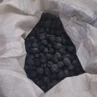 زیتون سیاه روغنی  روغنگیری|خوردنی و آشامیدنی|شیراز, دلگشا|دیوار