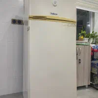 یخچال فیلور سالم سالم