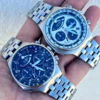 سیتیزن اکودرایو پاندایی