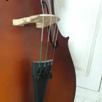 ویلون سل ۳/۴ TF 142|ویولن|مشهد, اقبال|دیوار