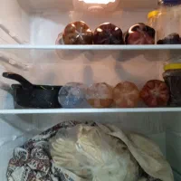 یخچال فریزر|یخچال و فریزر|شوشتر, |دیوار