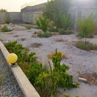 باغ/باغچه/چهار دیواری|فروش زمین و ملک کلنگی|تهران, اکباتان|دیوار