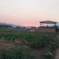فروش زمین جهت باغ و‌ویلا روستای گاوپناه|فروش زمین و ملک کلنگی|کرمانشاه, |دیوار