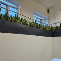 فروش فلاورباکس فایبرگلاس - گلدان فایبرگلاس|گل و گیاه طبیعی|تهران, نارمک|دیوار