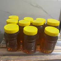 عسل گون طبیعی دامنه های رشته کوه سبلان|خوردنی و آشامیدنی|شاهدشهر, |دیوار