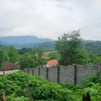 زمین ۲۵۰ متری/ چسبیده به جنگل /با ویو بینظیر